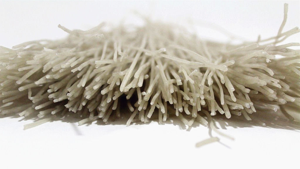 辨別紅薯粉條真假方法 辨別紅薯粉條真假方法