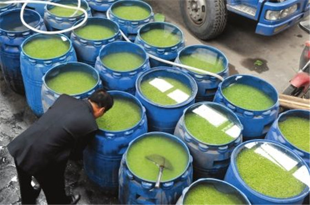 豌豆淀粉加工設(shè)備 豌豆淀粉加工設(shè)備