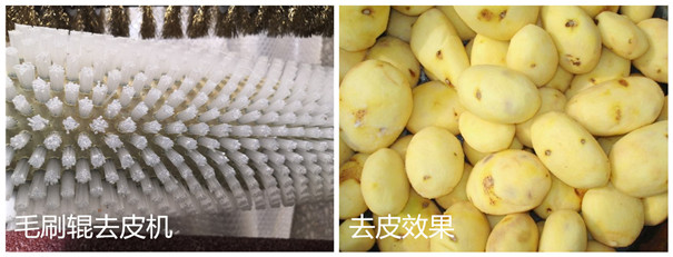 木薯去皮機-毛刷輥