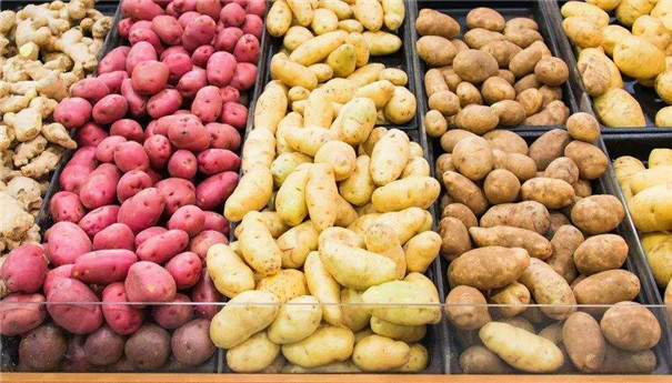 淀粉、粉條加工原料