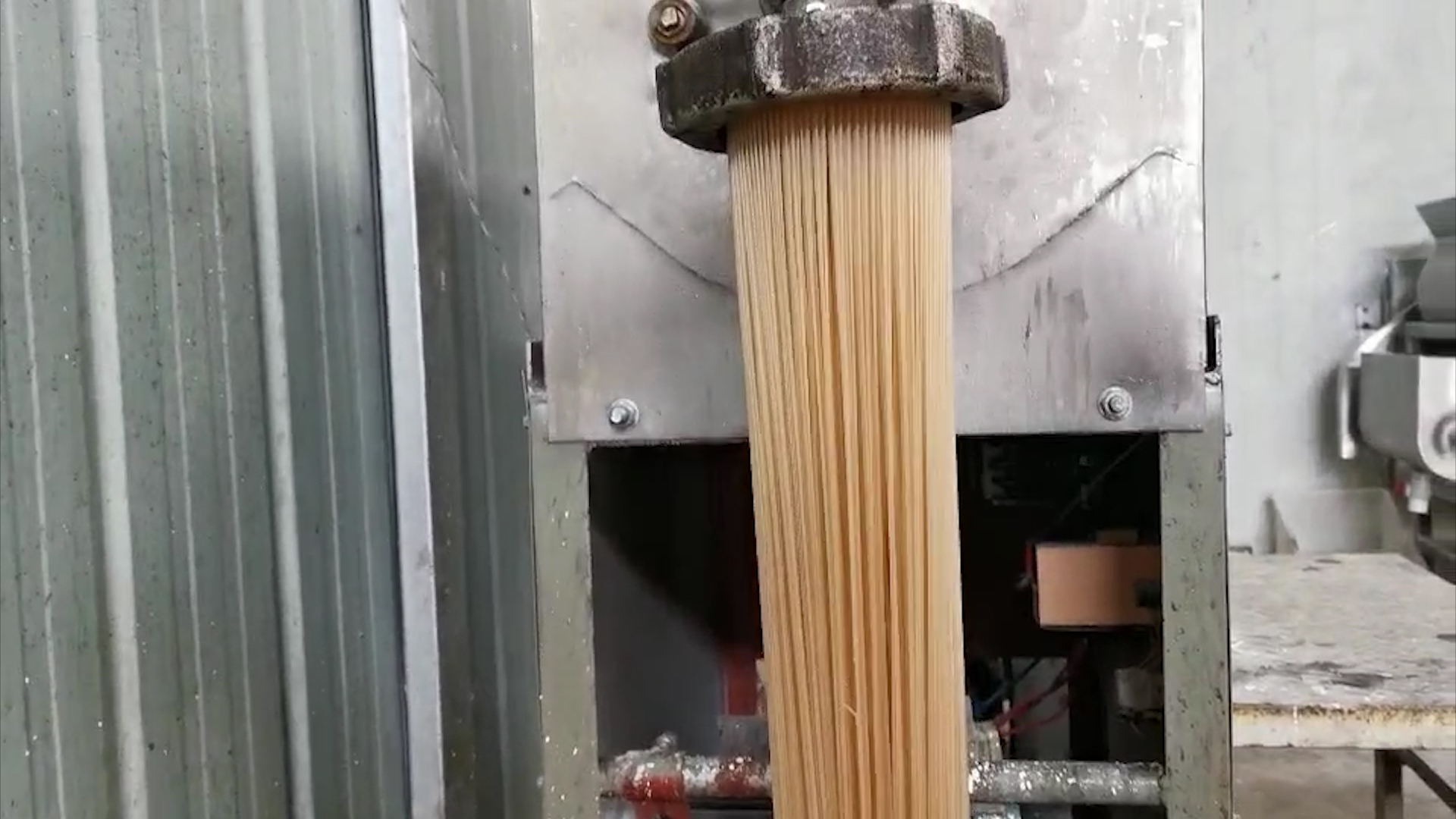 紅薯粉條機加工設備 紅薯粉條機加工設備