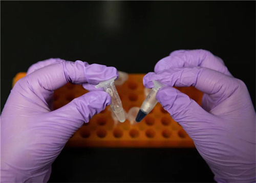 厲害了我的國！西北風真能喝飽了，中國首次實現二氧化碳人工合成淀粉