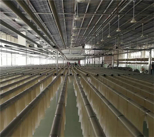 想入手全自動紅薯粉條機設備卻預算有限?可以試試種工藝的粉條機 想入手全自動紅薯粉條機設備卻預算有限?可以試試種工藝的粉條機